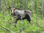 Thumbs/tn_2017_05_29_007.jpg