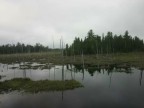 Thumbs/tn_2017_06_03_016.jpg