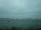 Thumbs/tn_2017_06_05_004.jpg