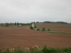 Thumbs/tn_2017_06_05_027.jpg
