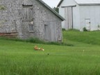 Thumbs/tn_2017_06_05_040.jpg