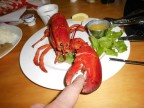 Thumbs/tn_J2017_06_05_008.jpg