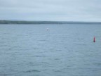 Thumbs/tn_2017_06_05_080.jpg