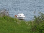 Thumbs/tn_2017_06_06_006.jpg