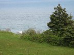 Thumbs/tn_2017_06_06_007.jpg