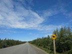 Thumbs/tn_2017_06_07_023.jpg