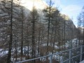Thumbs/tn_2020_02_22_038.jpg