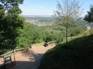 Thumbs/tn_2020_09_08_033.jpg