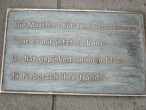 Thumbs/tn_2024_11_08_047.jpg