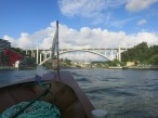 Thumbs/tn_2025_05_10_101.jpg