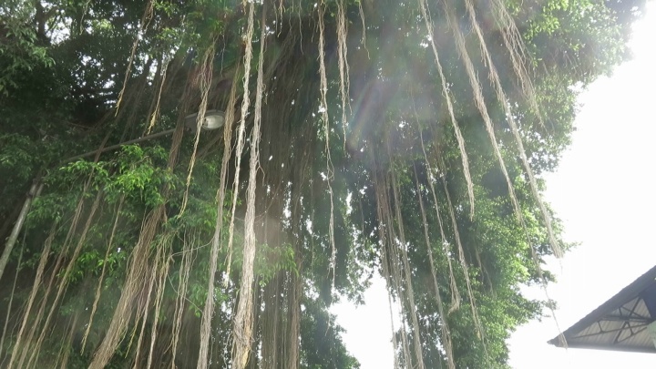 ../Images/2025-09-201023.jpg