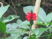 Thumbs/tn_2025_09_20_033.jpg