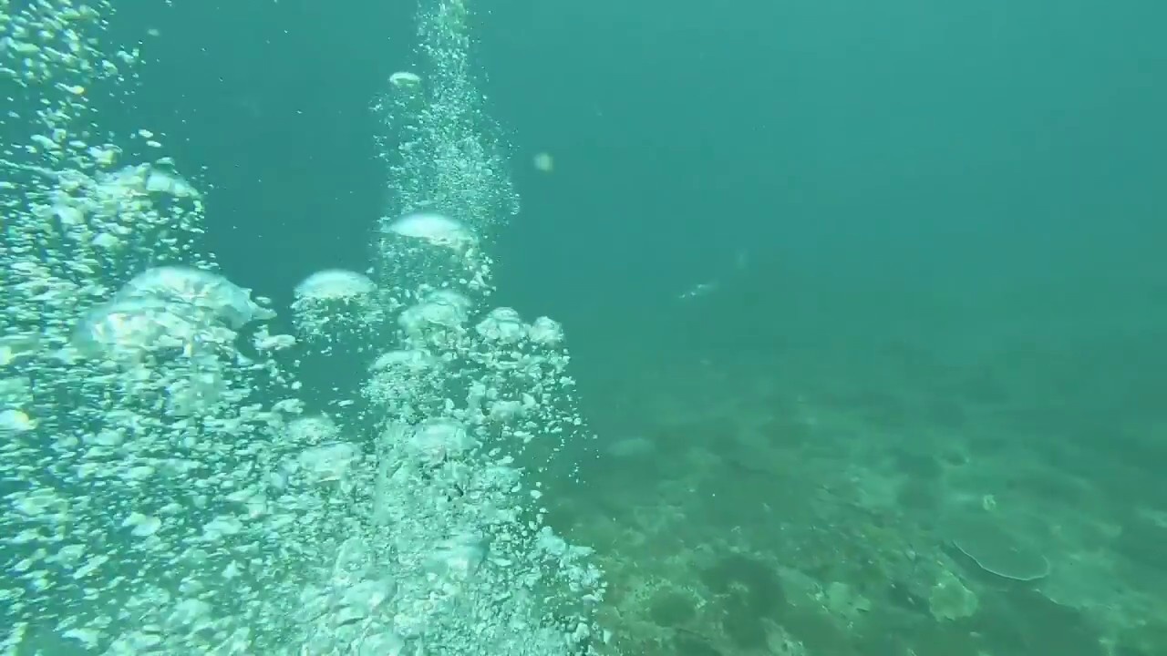 ../Images/video002.jpg