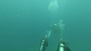 Thumbs/tn_video001.jpg