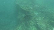 Thumbs/tn_video003.jpg
