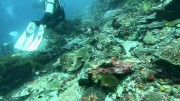 Thumbs/tn_video006.jpg