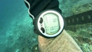 Thumbs/tn_video009.jpg