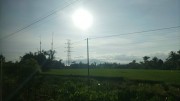 Thumbs/tn_Img_20251004_062641.jpg