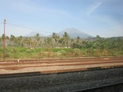 Thumbs/tn_Img_7798.jpg