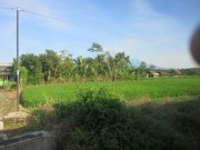 Thumbs/tn_Img_7808.jpg