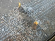 Thumbs/tn_Img_7829.jpg