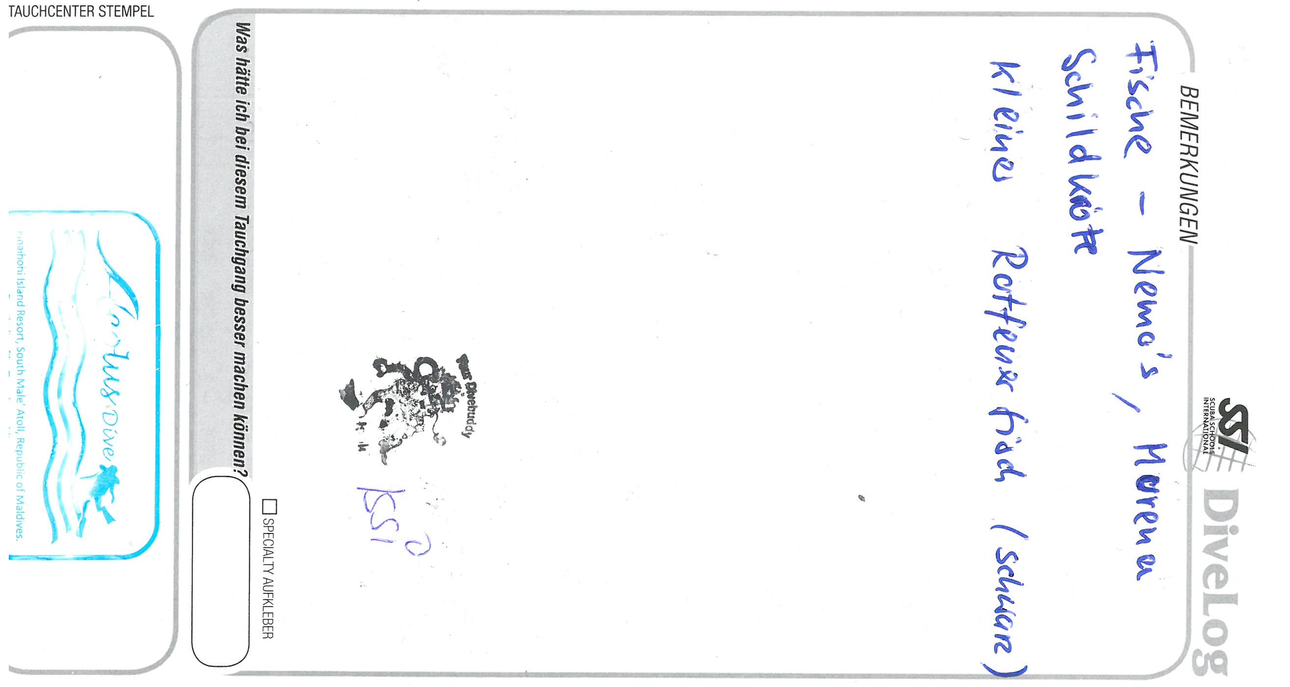 dive9HH.jpg